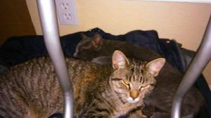 00C0C_5oXKPLHmkI_600x450