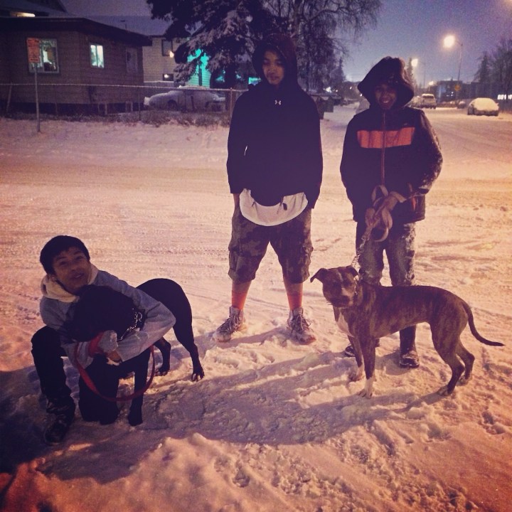 Say hi to Danny, Michael and Phillip (ages 13 & 12). They came out to walk their dogs the evening this photo was taken, but the roads are slippery and their dogs have lots of energy, so they're going home to look for sleds and makeshift harnesses. They're going to try this a different way. 