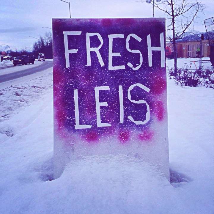 The contrasts: Another reason why I love this neighborhood.